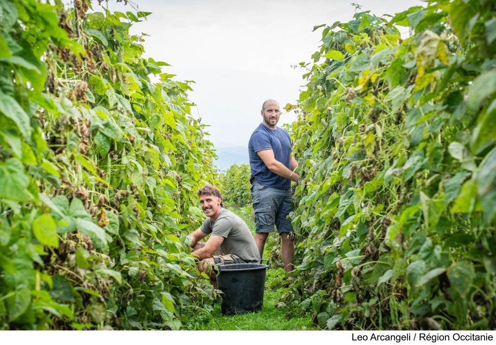 Le Pacte régional de souveraineté alimentaire : une réponse forte de la Région pour mieux produire et conserver la valeur ajoutée sur notre territoire