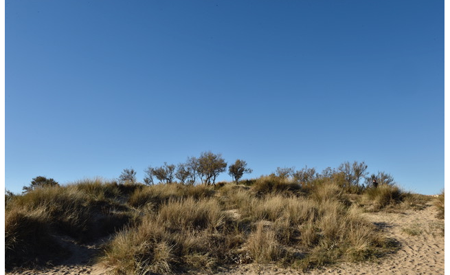 Ici à Fleury d'Aude, un projet de réaménagement du front de mer a fait l'objet d'échanges entre les différents acteurs du territoire audois © Antoine Darnaud