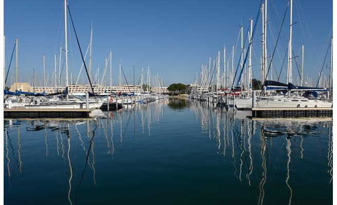 Lors de la dernière visite de terrain, dans le Gard le 30 novembre, les élus ont déambulé dans le port de Port-Camargue © Antoine Darnaud