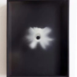 Nébuleux - sporée sur verre_boite en bois noire_50X60X5 cm_ 2018 - Anouck Durand-Gasselin_collection privée 