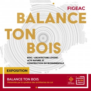 Affiche Exposition "BALANCE TON BOIS"