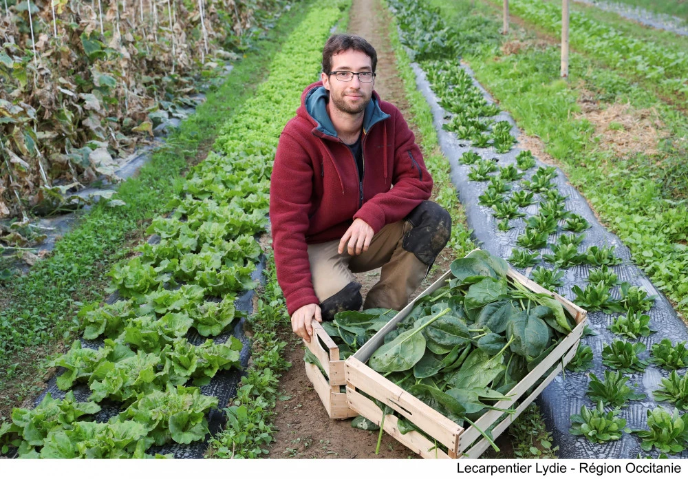 La nouvelle plateforme alimentaire régionale recense plus de 2 000 producteurs et commerçants d'Occitanie