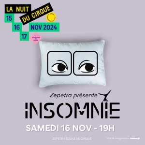 Affiche Insomnie " La Nuit du Cirque"