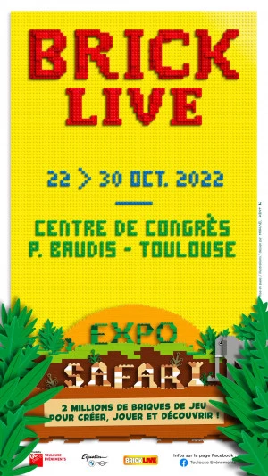 Affiche Brick Live