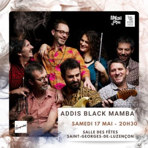 Affiche Concert | Addis Black Mamba | Heptahedron