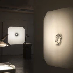 Sporothèque et projections - sporées sur verre_retroprojecteurs_dimensions variables_2019 - Anouck Durand-Gasselin et Espace photographique Arthur Batut 