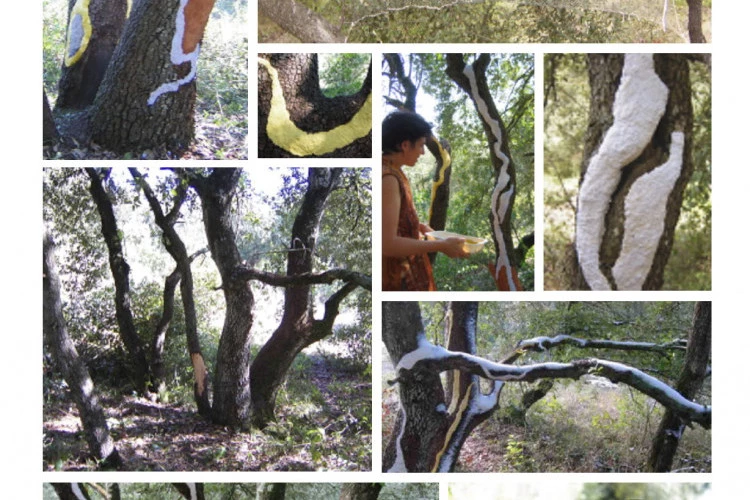 Intervention In situ - Sentier des Capitelles - St Chinian - 2024