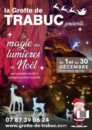 Affiche La Magie des Lumières de Noël sous Terre