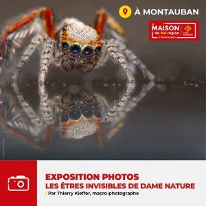 Affiche Exposition photos "Les êtres invisibles de Dame Nature" à la Maison de Ma Région-Montauban