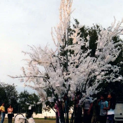 Quel Arbre de la Paix ? - L'Arbre de la Paix, Création avec une équipe d'enfants & d'adolescents et d'animateurs dans le cade du programme de l'UNESCO 'Culture de Paix', Fleury-Mérogis (91) 2007 - [bhâ dit Hoô dit béné dit Melle Bureau] 