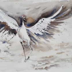 L'envol d'une grue Gersoise - 2019 Aquarelle et bleu Isatis Tinctoria 38x28 cadre 40x50 - adagp 