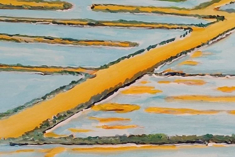 grands salins août 2021 - acrylique sur toile 116x81 - michel gelly 